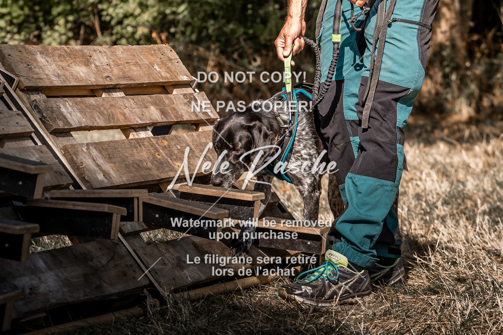 nelerasche_slaw24So_291 | nelerasche
