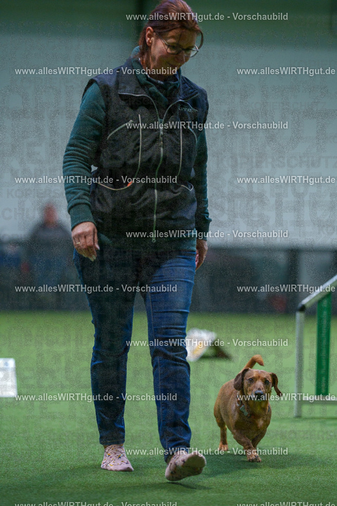 7R501897 | Professionelle Tierfotografie in Mönchengladbach von Daniel Wirth (allesWIRTHgut). Liebevolle & natürliche Bilder von Hunden & Katzen für unvergessliche Erinnerungen.