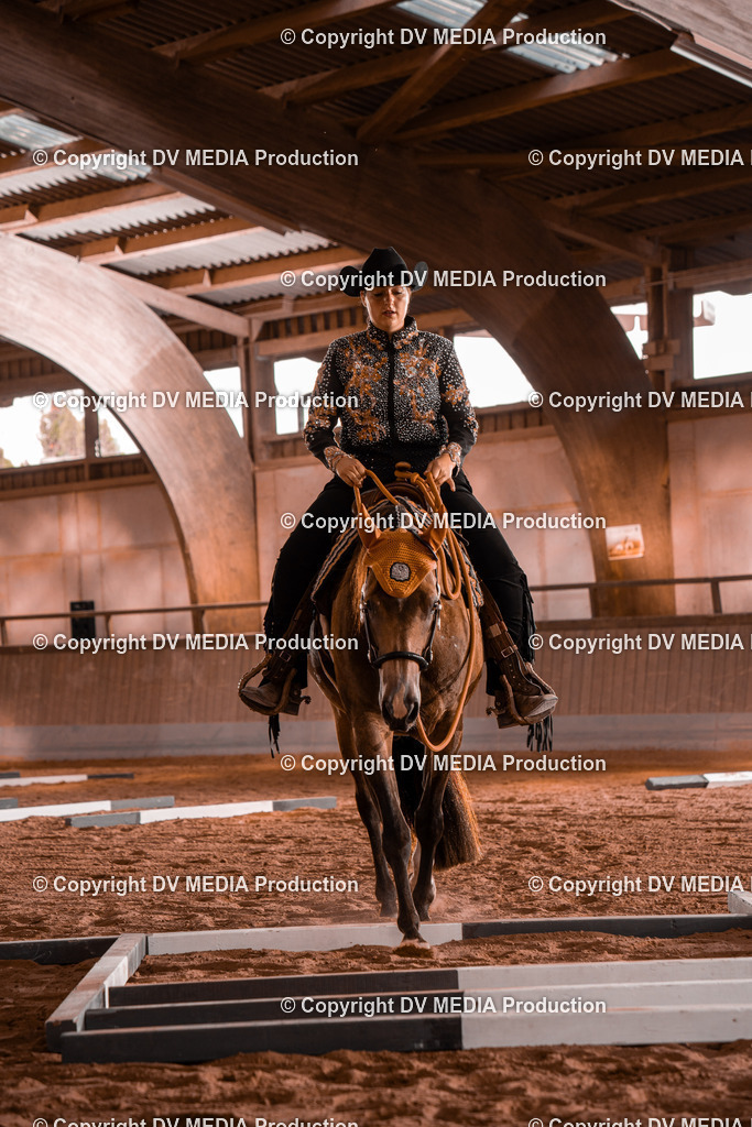 NE300045 | dv-media-shop - Realisiert mit Pictrs.com