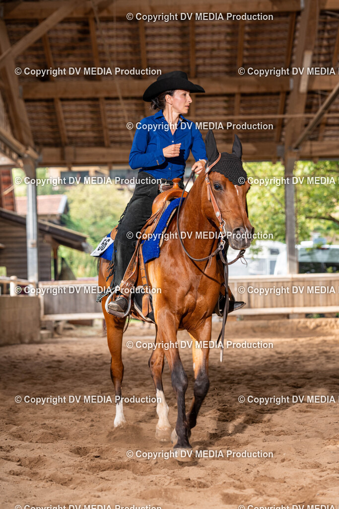 Erbach Tag 1-1084 | dv-media-shop - Realisiert mit Pictrs.com