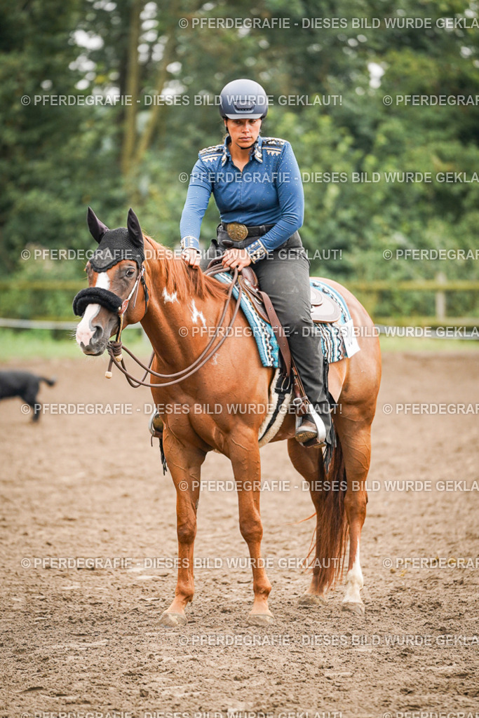 DSC02678 | Pferdegrafie