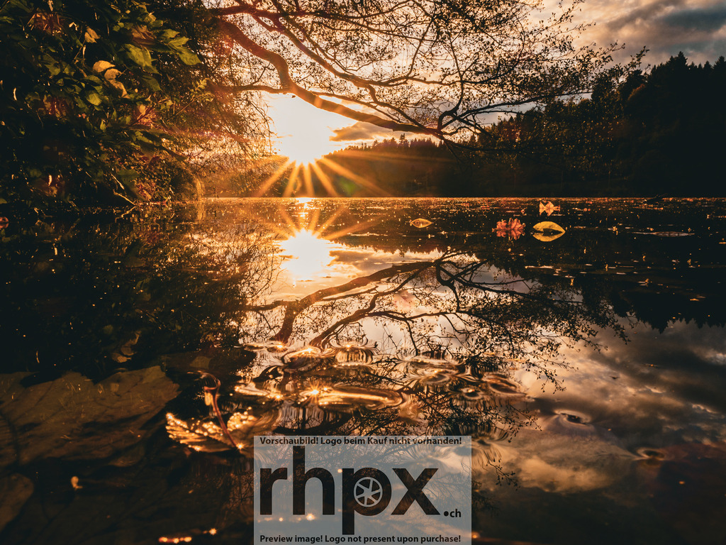 Sonnenstrahlen am See | Die untergehende Sonne spiegelt sich im ruhigen Wasser eines Sees, eingefasst von herbstlichen Ästen.. - Realisiert mit Pictrs.com