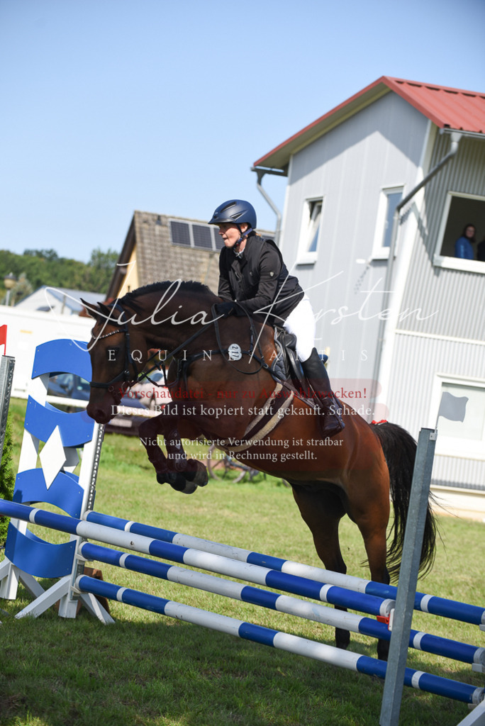 DSC_9102 | Pferde- und Turnierfotografie in Westsachsen. Pferdeportraits, Auftragszeichnungen und intuitive Kunst.