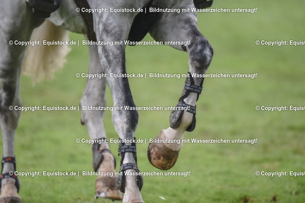 20240519_Quali-GP_Preis-des-Hess-Min-Präs_0133 | Foto: Thomas Hartig