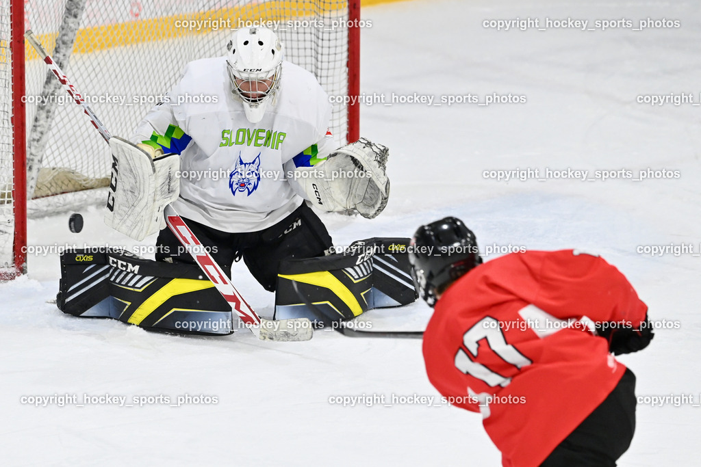Österreich U17 vs. Slowenien U18  | Österreich U17 vs. Slowenien U18 , Österreich U17 vs. Slowenien U18  am 14.12.2024 in Ferlach (Eishalle Ferlach ), Austria, (Photo by Bernd Stefan)