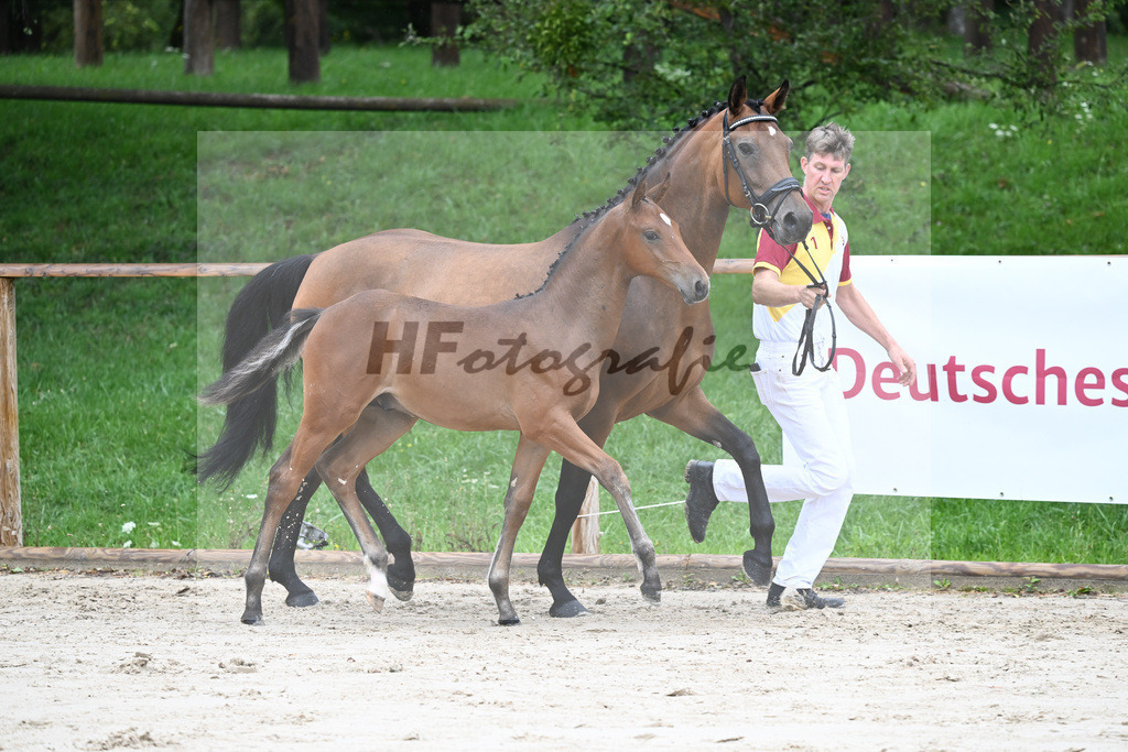 Kat-Nr. 8 HF Cellestial_Joas_25230095 | hf-fotografie - Realizzato con Pictrs.com