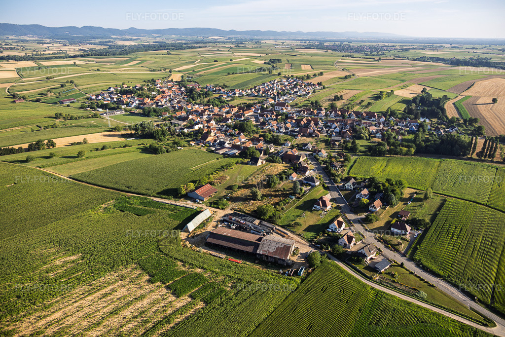 Luftbild: Ortsansicht von Süden in Aschbach im Bundesland Bas-Rhin in Frankreich. – Foto: IMG_158256.jpg vom 25.07.2026 durch Werner Riehm/FLY-FOTO.de – Auflösung des Originals: 6000 x 4000 px