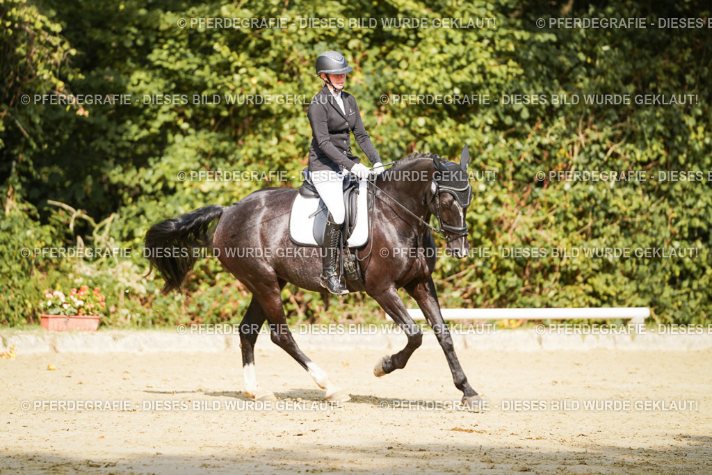 DSC02445 | Pferdegrafie