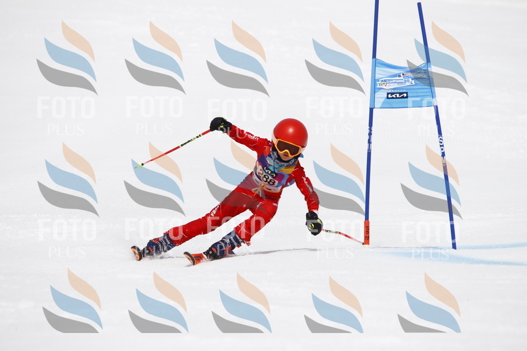 _U3G7216 | holidayphoto