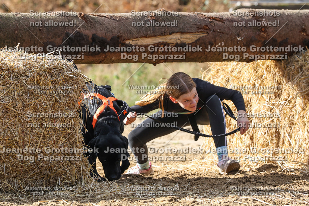 Dog Paparazzi - Strongdog 10-25-5189 | Dog Paparazzi Jeanette Grottendiek Fotografie & Videografie - Realisiert mit Pictrs.com