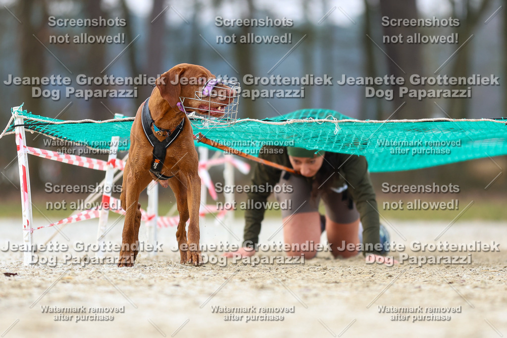 Dog Paparazzi - Strongdog North Mrz26-3969 | Dog Paparazzi Jeanette Grottendiek Fotografie & Videografie - Realisiert mit Pictrs.com