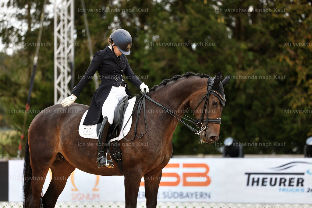6-086-AMATUER-DRESSUR S_  -StoibPH-3577 | working equitationturnier fotograf videograf stoibphotography marixx film working equitation deutschland reitsport turnierfotografie eventfotografie equestrian events