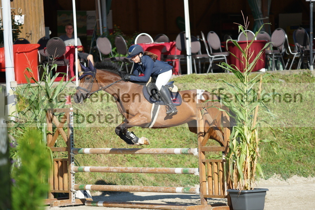 DSC02220 | equestrian-live-com