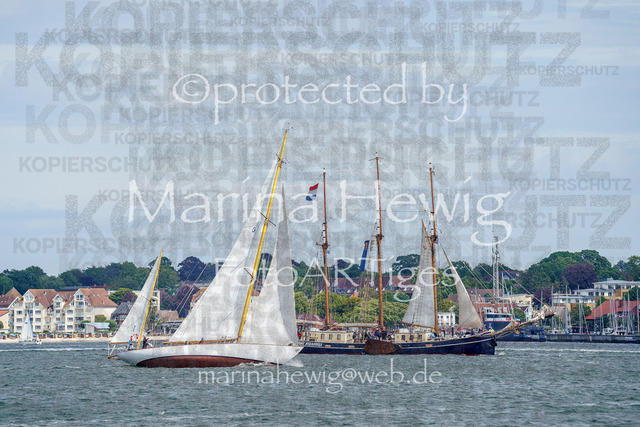 ClassicWeek-10_MarinaHewig | Fotografie, FotoArt, PferdesportArt, Pferdesportfotografie, Landschaftsfotografie, Reisefotografie, Reise, Pferde - Realisiert mit Pictrs.com