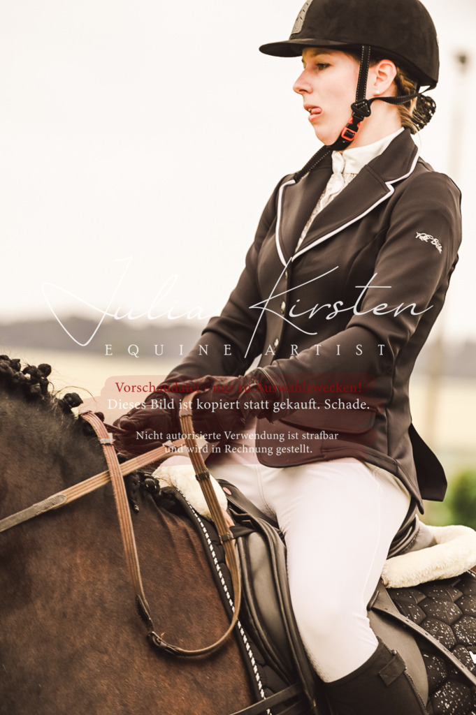 DSC_5021 | Pferde- und Turnierfotografie in Westsachsen. Pferdeportraits, Auftragszeichnungen und intuitive Kunst.