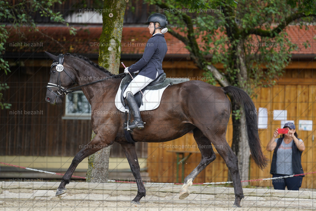 20230826-FAH05223 | Forstinning, 2023, Dressurturnier, Turniersportbilder, Turnierfotografen Bayern, Fotoagentur Herrmann, Reitsportfotografie, Turnierbilder
