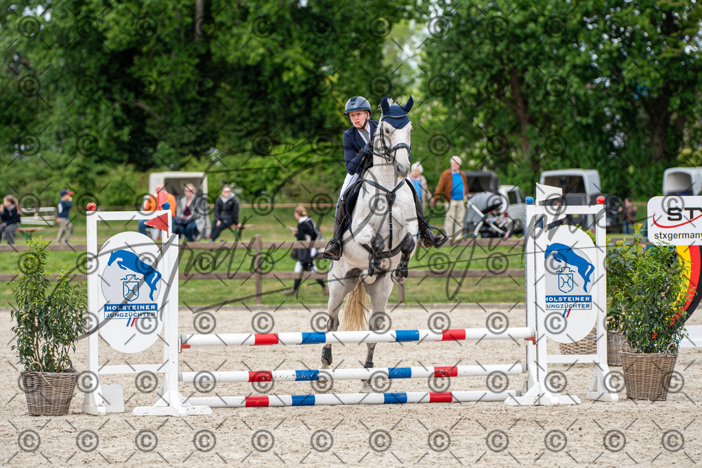 KPT_6185 | andre_photographic