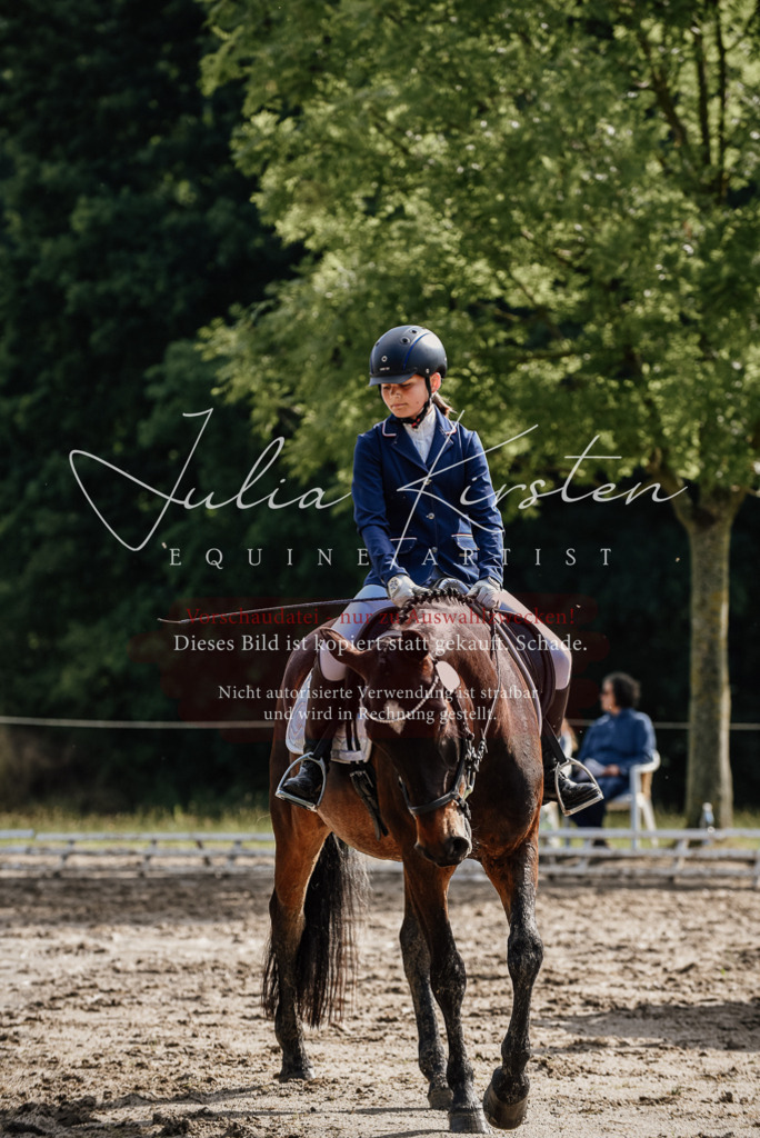 DSC_9199 | Pferde- und Turnierfotografie in Westsachsen. Pferdeportraits, Auftragszeichnungen und intuitive Kunst.