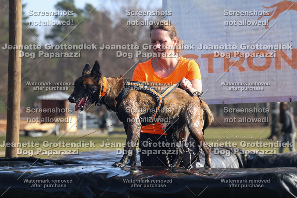 Dog Paparazzi - Strongdog North Mrz26-1248 | Dog Paparazzi Jeanette Grottendiek Fotografie & Videografie - Realisiert mit Pictrs.com