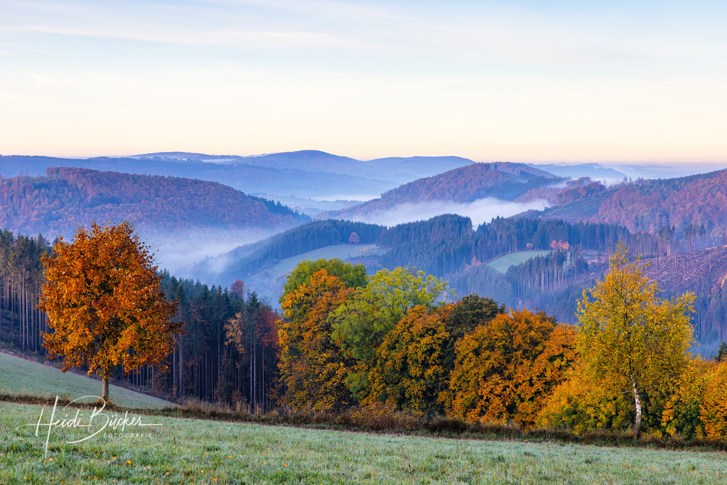 Aussicht vom Herhagen bei Nordenau 1 | Bilder und Impressionen zu jeder Jahreszeit aus dem Sauerland im Naturpark Sauerland-Rothaargebirge - Realisiert mit Pictrs.com