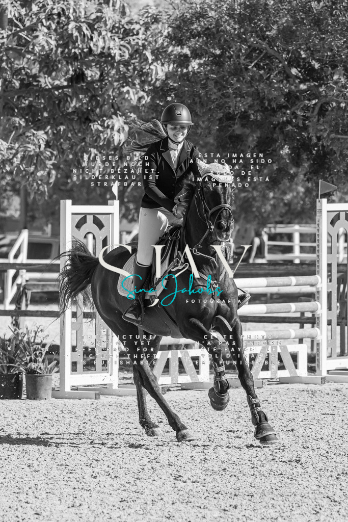 IMG_7156 | s-jay-photography - Realisiert mit Pictrs.com