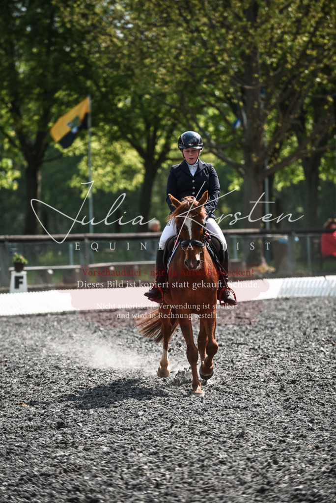 DSC_9024 | Pferde- und Turnierfotografie in Westsachsen. Pferdeportraits, Auftragszeichnungen und intuitive Kunst.
