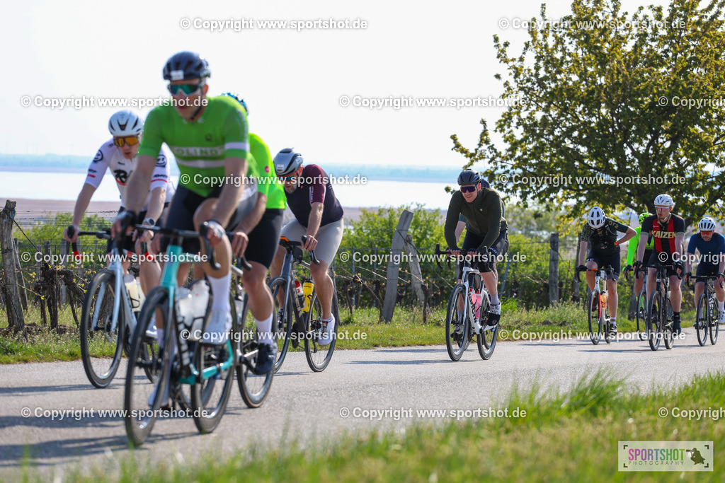 IMG_1032 | @sportshot_your_pictrs #yourpictures#roadtowm2029 #nrm #neusiedlerseeradmarathon #neusiedlersee #neusiedlerseetourismus #burgenland #mörbisch #nrm26 #burgenlandtourismus #voglundco #poweredbyburgenlandtourismus #radsport #rad #marathon #ucigranfondo #visitburgenland #ucigranfondoworldseries