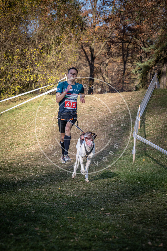 CaniXpix_0L8A8729 | Hundefotografie, Tierfotograf, Pfotenfotografie, Fotoshooting Hund, Hunde Portrait, Hundesport, Hundeportraits, Heideshooting, Hunde, Sportfotograf, Hundefotograf, Turnierhundsport, THS,  - Realisiert mit Pictrs.com