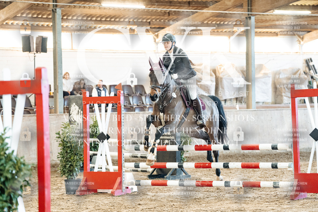 CK904218 | Turnierfotografie Pferdefotografie Trier Rheinland-Pfalz Pferdesport Reitsport Tierfotografie Sportfotografie Pferdevideo Pferdevideografie Equestrianvideography equestrianphotography  - Realisiert mit Pictrs.com
