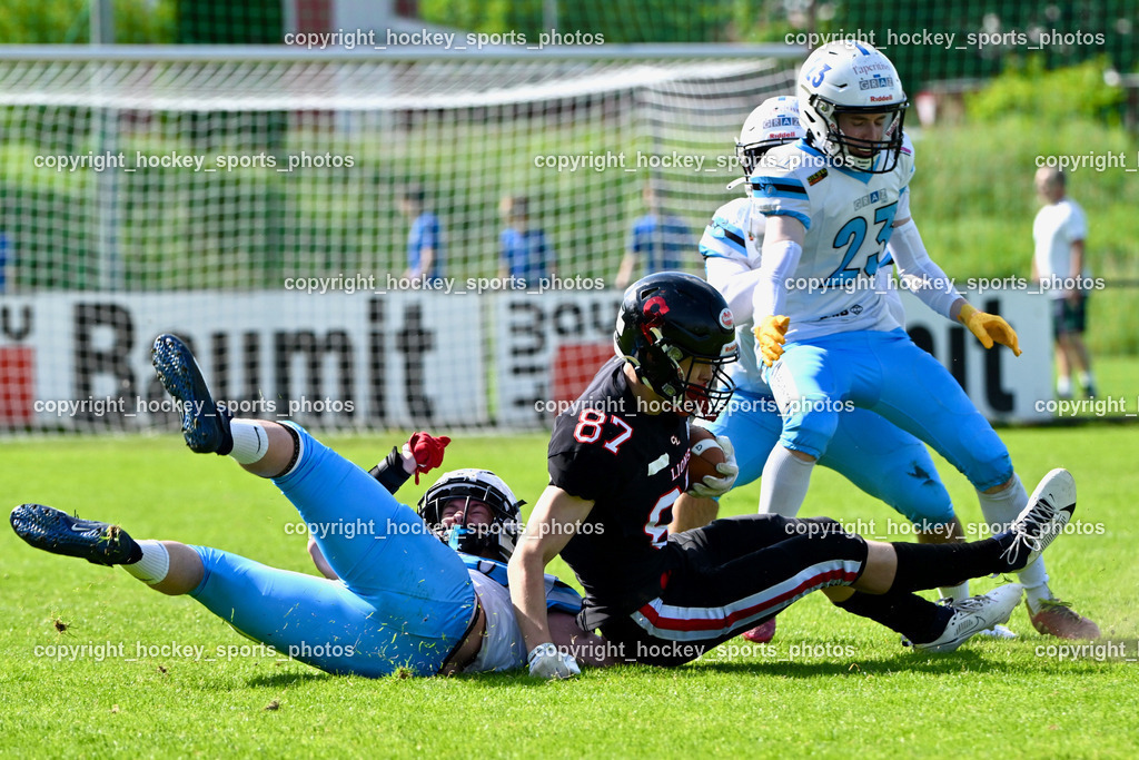 Carinthian Lions vs. Styrian Bears | Carinthian Lions vs. Styrian Bears, Carinthian Lions vs. Styrian Bears am 20.05.2024 in Klagenfurt (ASV Sportplatz), Austria, (Photo by Bernd Stefan)
