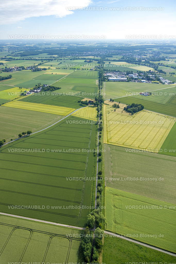 Hamm220602132 | Luftbild, Radweg und Wanderwg bei Wambeln, Baumallee, Scheidingen, Welver, Ruhrgebiet, Nordrhein-Westfalen, Deutschland