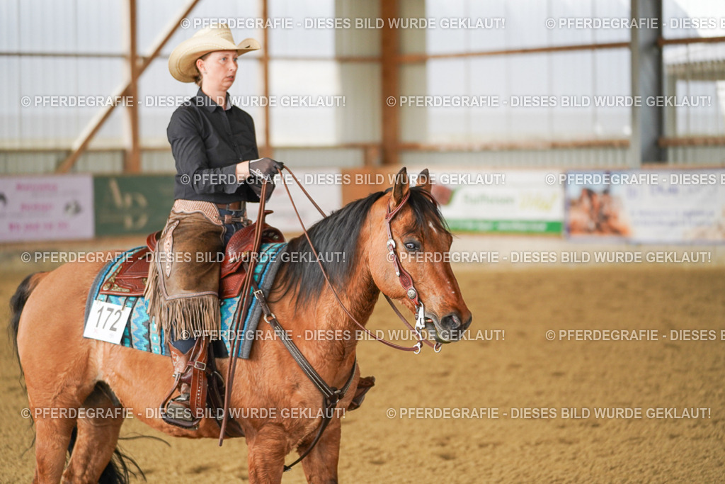 DSC03055 | Pferdegrafie