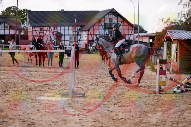 2026_10_03_Siefer-Hof_145130_Z81_30475124 | Professionelle Reitsport-, Turnier- und Eventfotografie von Robert Broda. Galerien mit ausgewählten und bearbeiteten Bildern direkt online ansehen und bestellen.
