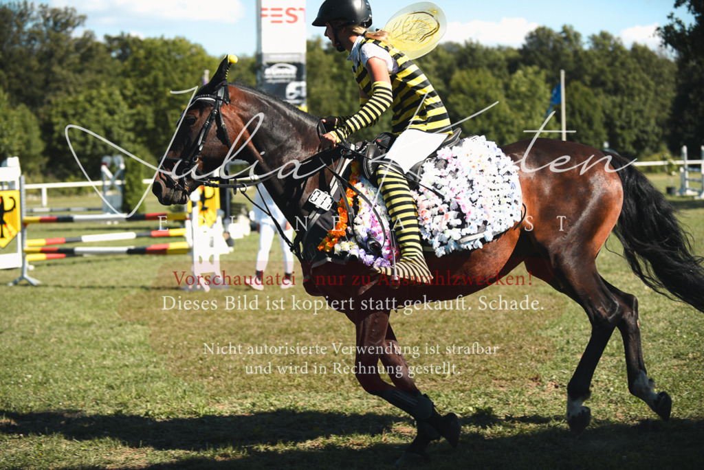 DSC_7672 | Pferde- und Turnierfotografie in Westsachsen. Pferdeportraits, Auftragszeichnungen und intuitive Kunst.