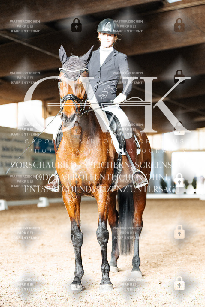 CK903120 | Turnierfotografie Pferdefotografie Trier Rheinland-Pfalz Pferdesport Reitsport Tierfotografie Sportfotografie Pferdevideo Pferdevideografie Equestrianvideography equestrianphotography  - Realisiert mit Pictrs.com