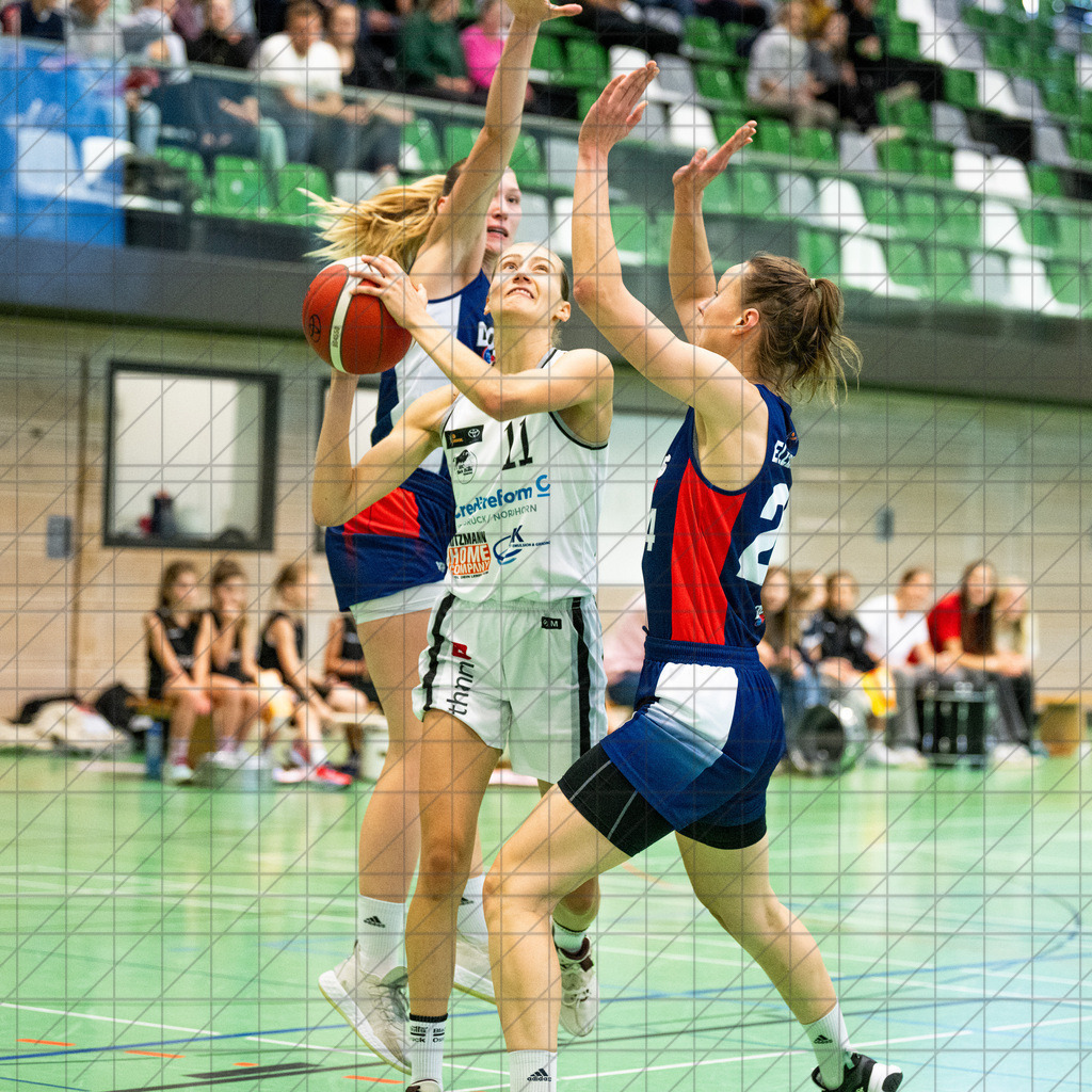 2. DBBL Nord 24/25 | 27.10.2024 | BBC OS vs. TSVE Bielefeld | 2. DBBL Nord 24/25 | 27.10.2024 | BBC OS vs. TSVE Bielefeld - - - - - CREDIT, www.bullenfotos.de, Martin König, Hörner Weg 40, D-49078 Osnabrück, +4917663732967, Nutzung und Weitergabe nur zu den vereinbarten Zwecken. Presseanfragen an Urheber. Alle Rechte beim Urheber. - - - - - - Realisiert mit Pictrs.com