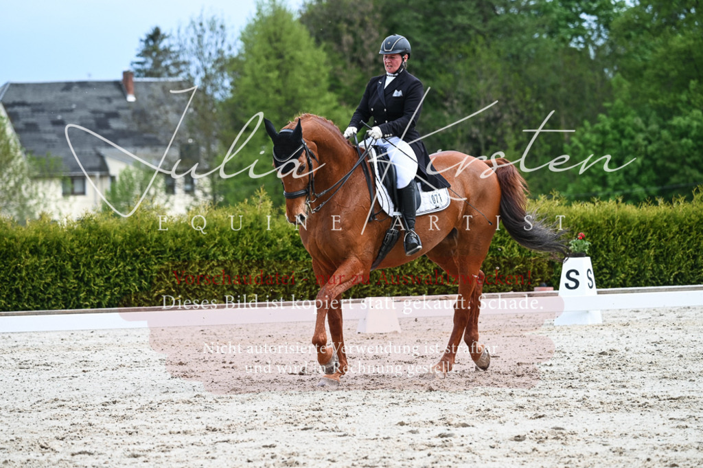 20230513_JK-Röhrsdorf-12-222-2 | Pferde- und Turnierfotografie in Westsachsen. Pferdeportraits, Auftragszeichnungen und intuitive Kunst.