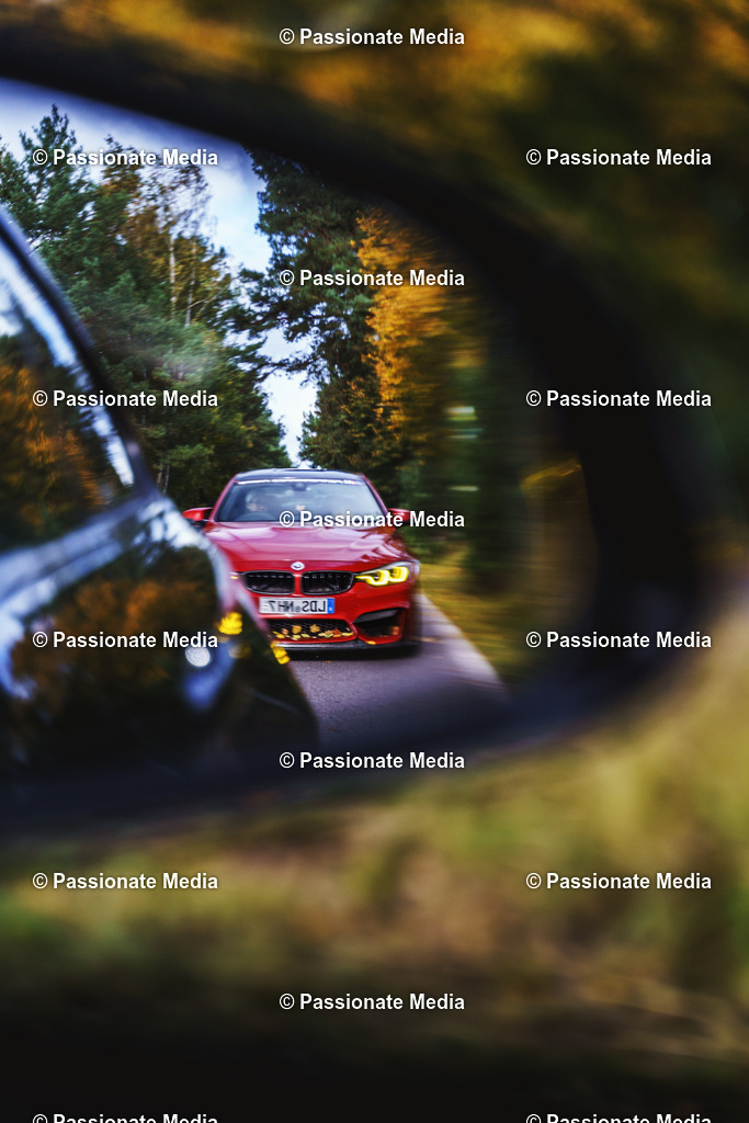 _DSC6351 | Passionate Media, dein Fotograf aus Brandenburg, Märkisch Oderland, im Bereich Motorsport, Autos und Motorräder sowie Events und auch Hunde. Shootings oder auch Eventbegleitungen können bei mir gebucht we