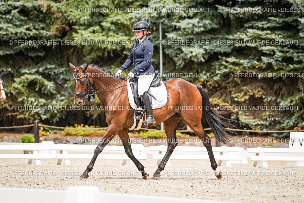 DSC03934 | Pferdegrafie