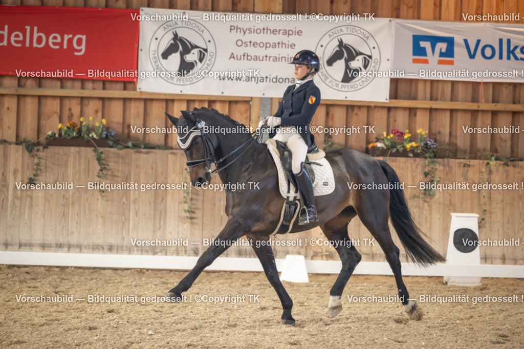 _D5A2948 | Emotionale Pferde- & People-Fotografie rund um Heidelberg, Leimen & Umgebung. Natürliche Fotos von Pferd, Mensch & Familie. Jetzt Termin sichern!