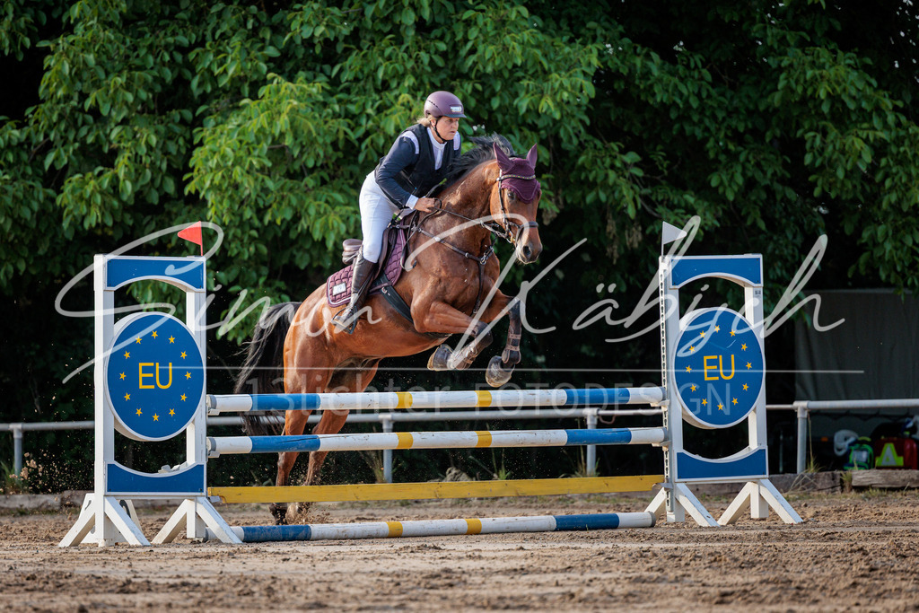 20260529-_3LI1420 | Tierfotografie Pferde, Hunde, Katzen, Haustiere.
Turnierfotografie Reitturniere, Reiten, Springreiten, Dressur in Hanau, dem Main-Kinzig-Kreis und dem Rhein-Main- Gebiet um Frankfurt