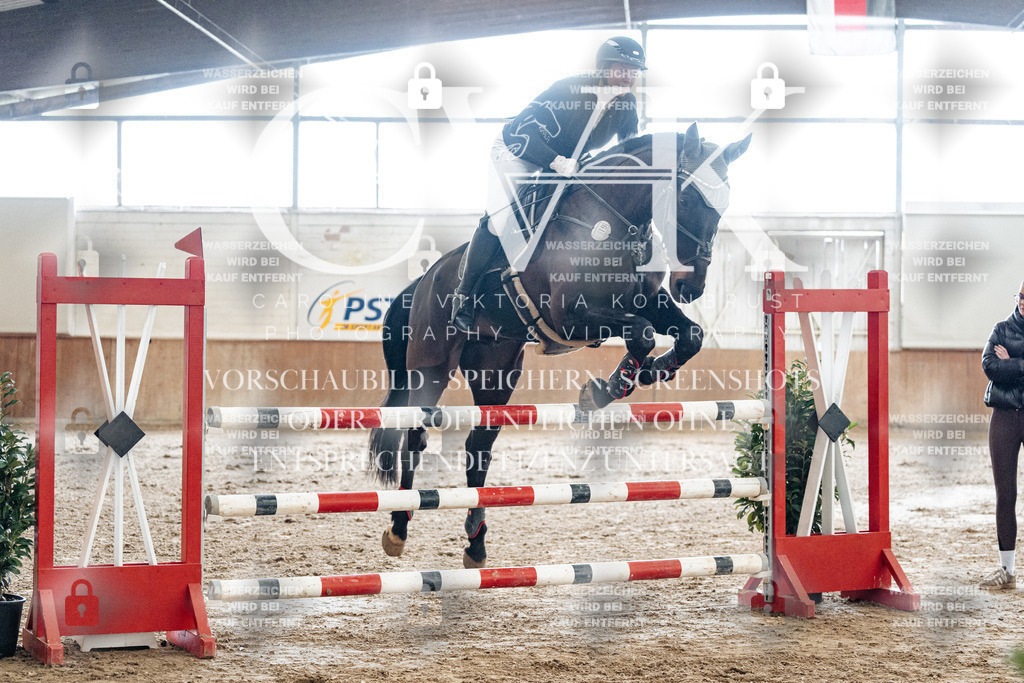 CK906206 | Turnierfotografie Pferdefotografie Trier Rheinland-Pfalz Pferdesport Reitsport Tierfotografie Sportfotografie Pferdevideo Pferdevideografie Equestrianvideography equestrianphotography  - Realized with Pictrs.com