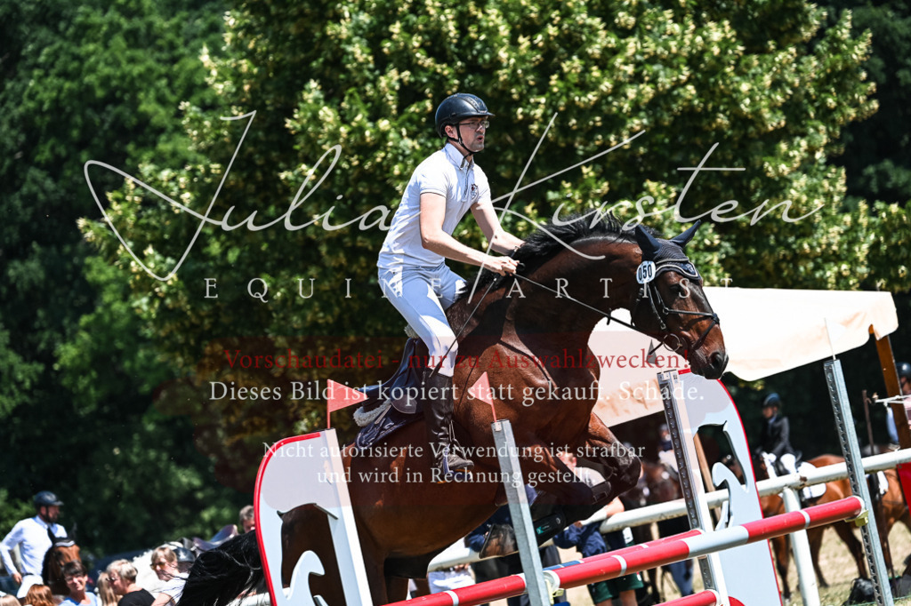 DSC_0459 | Pferde- und Turnierfotografie in Westsachsen. Pferdeportraits, Auftragszeichnungen und intuitive Kunst.