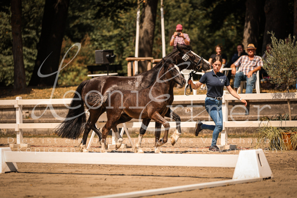 04.DoWP00081 | Leoni Ertmer Photography - Realisiert mit Pictrs.com