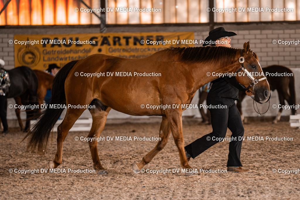 ZH100105 | dv-media-shop - Realisiert mit Pictrs.com