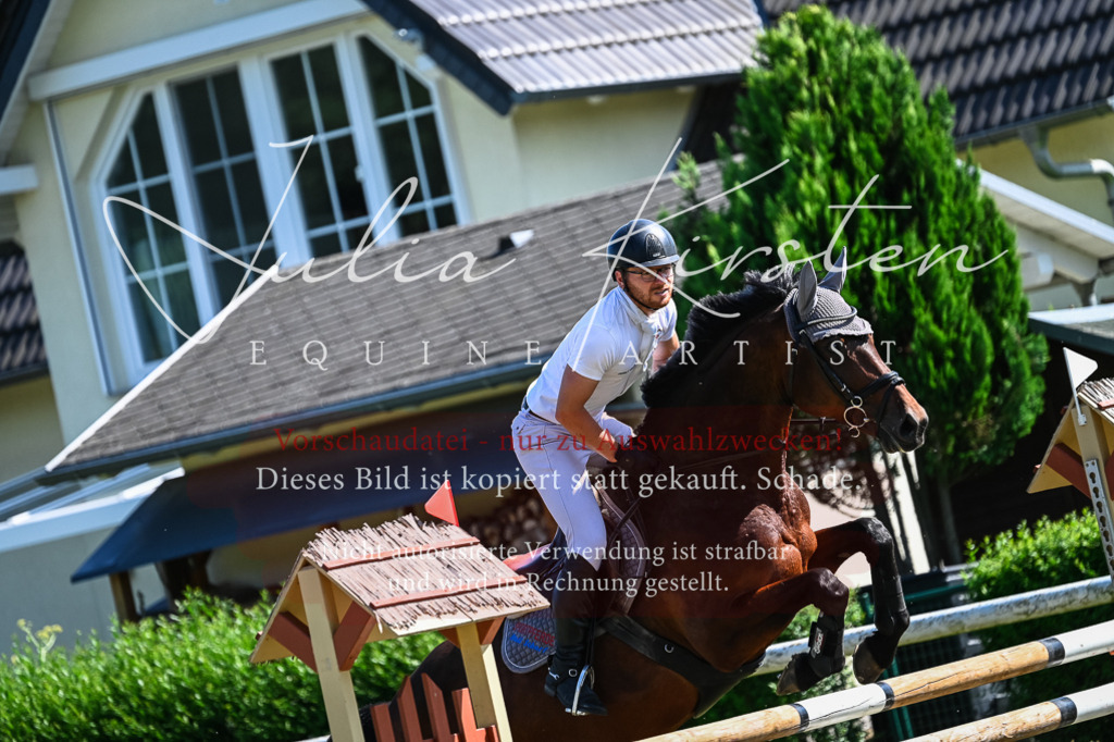 DSC_1660 | Pferde- und Turnierfotografie in Westsachsen. Pferdeportraits, Auftragszeichnungen und intuitive Kunst.