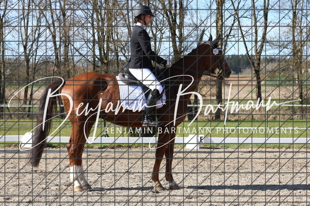 AZ2A5196 | Benjamin Bartmann Photomoments