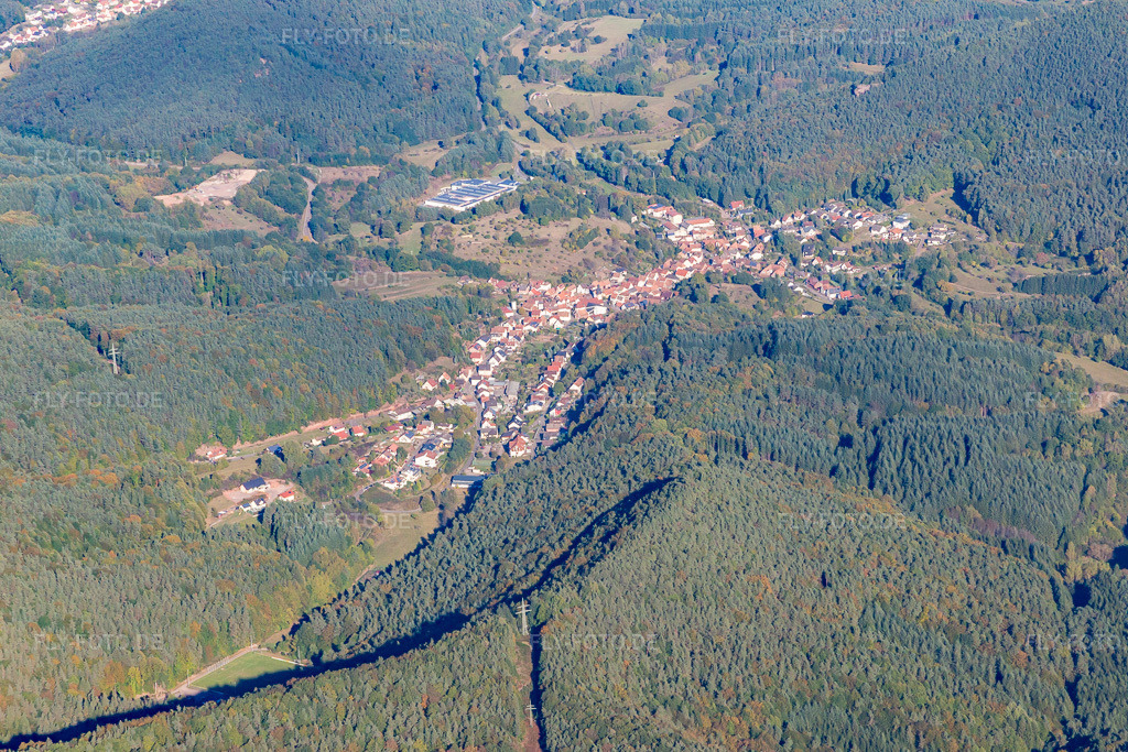 Luftbild: Ortsansicht von Südwesten in Schwanheim im Bundesland Rheinland-Pfalz in Deutschland. Foto: IMG_095246.jpg vom 16.10.2016 durch Werner Riehm/FLY-FOTO.de