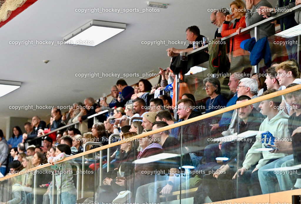 SC Ferlach vs. ALPLA HC Hard 2.3.2024 | Besucher Ballspielhalle Ferlach, SC Ferlach Fans, SC Ferlach vs. ALPLA HC Hard 2.3.2024, SC Ferlach vs. ALPLA HC Hard am 02.03.2024 in Ferlach (Ballspielhalle Ferlach), Austria, (Photo by Bernd Stefan)