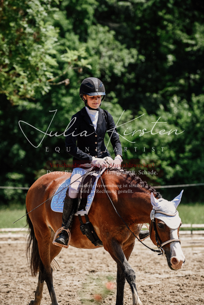 DSC_1971 | Pferde- und Turnierfotografie in Westsachsen. Pferdeportraits, Auftragszeichnungen und intuitive Kunst.